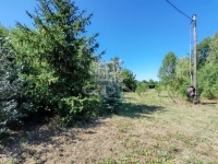 Debrecen Tanya