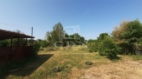Debrecen Tanya