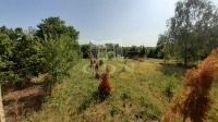 Debrecen Tanya