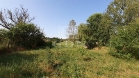 Debrecen Tanya