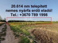 Hajdúnánás Mezőgazdasági terület