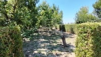 Dusnok Tanya