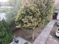 Budapest XVII. kerület Ikerház