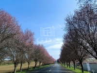 Berkenye Családi ház