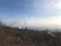 Budaörs Telek