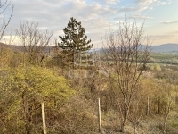 Budapest II. kerület Telek