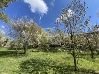 Biatorbágy Családi ház