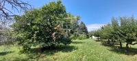 Bozsok Telek