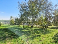 Nagykutas Telek