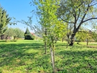 Nagykutas Telek
