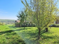 Nagykutas Telek