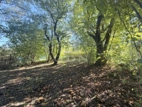 Zalaegerszeg Telek