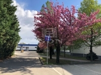 Budapest XXII. kerület Iroda