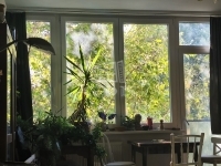 Budapest XX. kerület Lakás (csúsztatott zsalu)