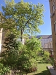 Budapest XIII. kerület Lakás (téglaépítésű)