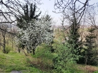 Kaposvár Telek