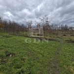 Nagyigmánd Mezőgazdasági terület