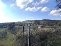 Csákvár Telek