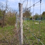 Balatonkenese Telek