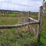 Balatonkenese Telek