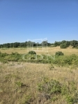 Balatonalmádi Telek