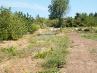 Páty Telek