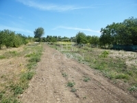 Páty Telek