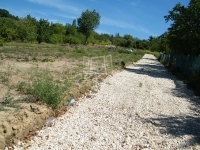 Páty Telek