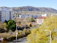 Budapest III. kerület Lakás (panel)