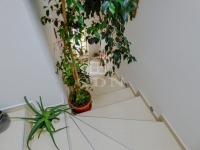 Dunakeszi Családi ház