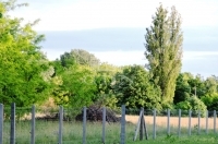 Kerekegyháza Tanya