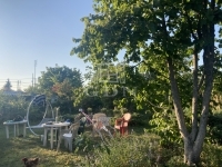 Budapest XXII. kerület Telek