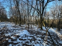 Kismaros Telek