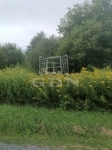 Nagykutas Telek
