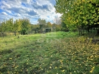 Zalaegerszeg Telek