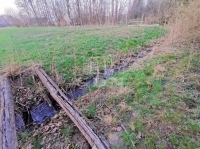 Bucsuta Családi ház