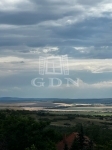 Páty Telek